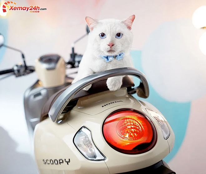 giá xe scoopy 110 nhập khẩu